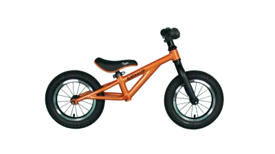 Foxie 12