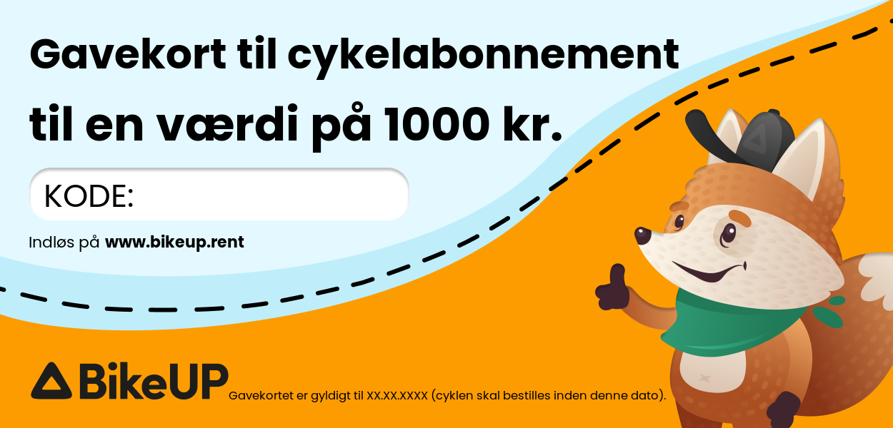 1000 kr gavekort