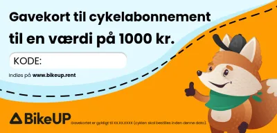 Voucher 1000 kr